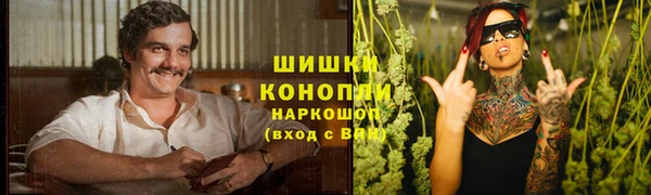 таблы Шали
