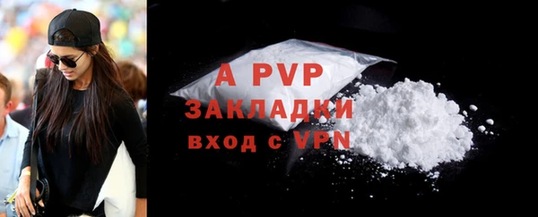 таблы Шали