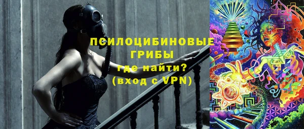 таблы Шали