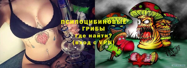 таблы Шали